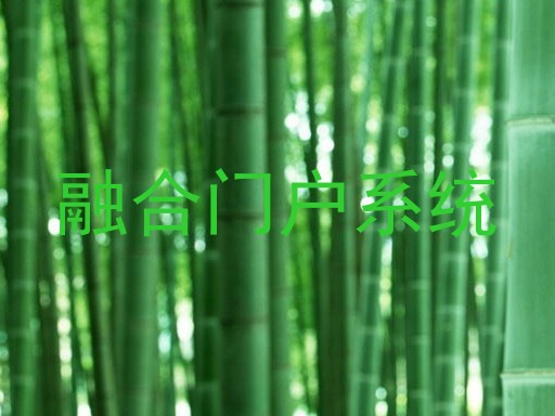 融合门户系统