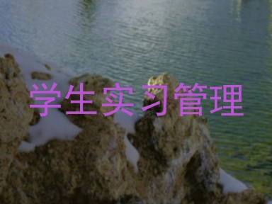 学生实习管理