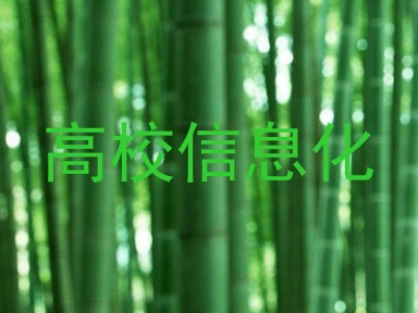 高校信息化