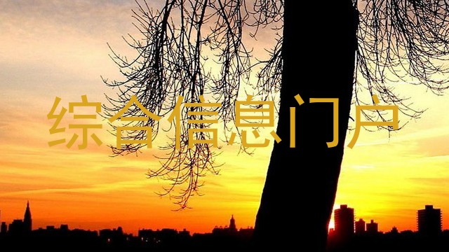 综合信息门户