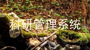 科研管理系统