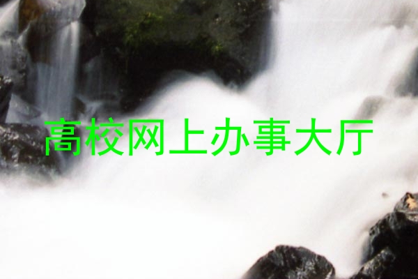 高校网上办事大厅