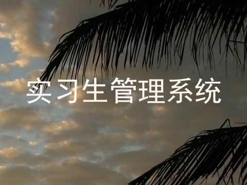 实习生管理系统