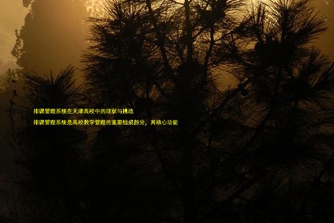 排课管理系统在天津高校中的现状与挑战  

排课管理系统是高校教学管理的重要组成部分，其核心功能