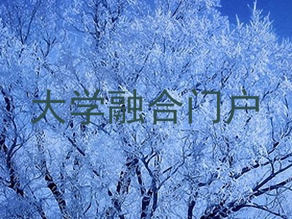 大学融合门户