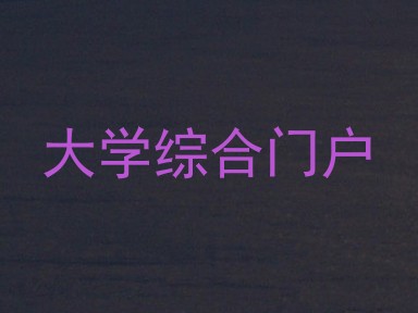 大学综合门户