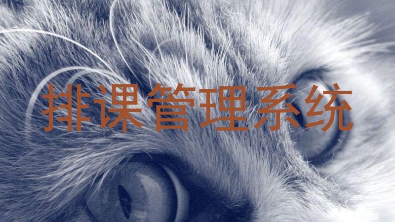 排课管理系统