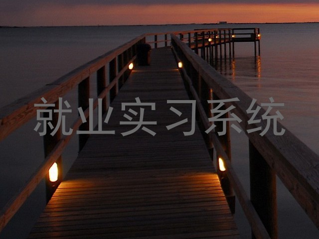 就业实习系统