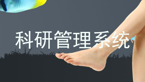 科研管理系统