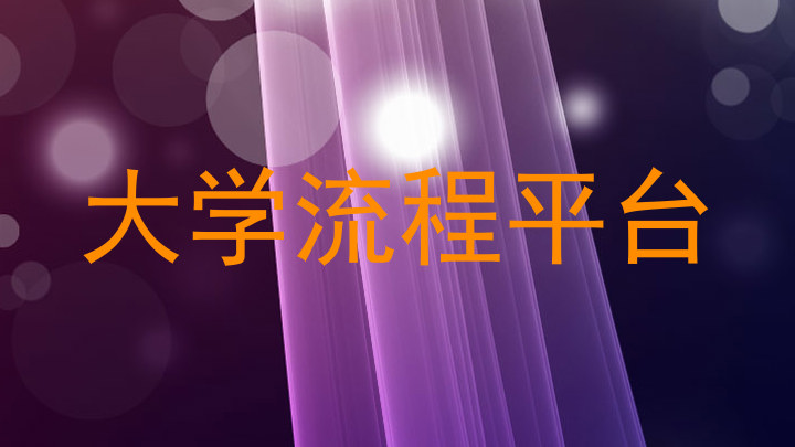 大学流程平台