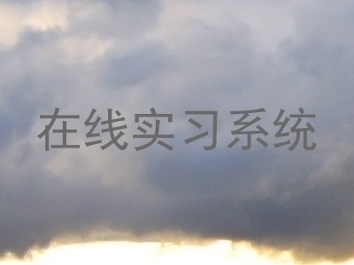 在线实习系统