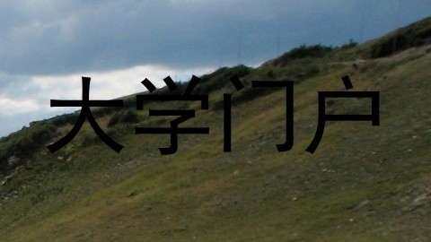 大学门户
