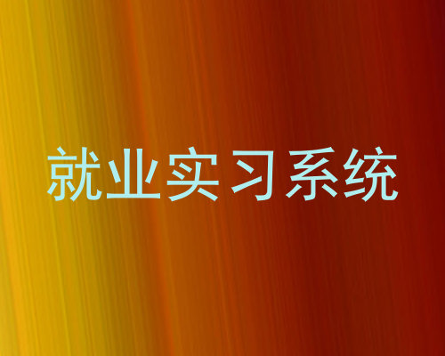 就业实习系统