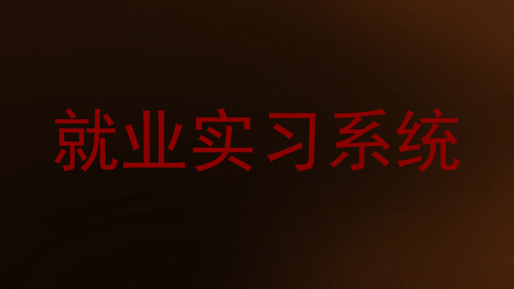 就业实习系统
