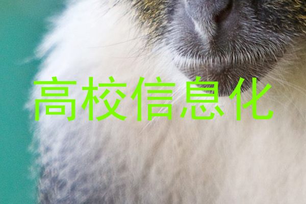 高校信息化
