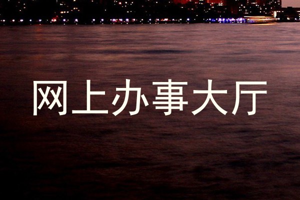 网上办事大厅