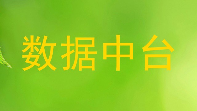 数据中台