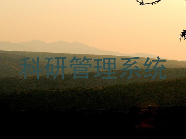 科研管理系统