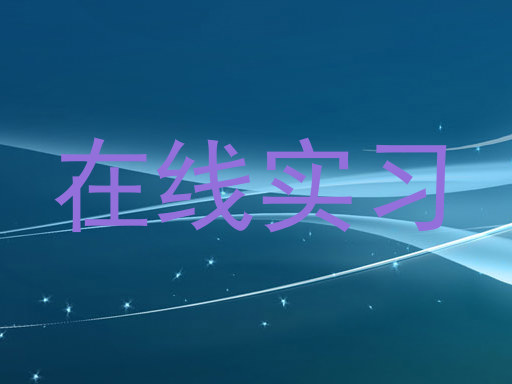 在线实习