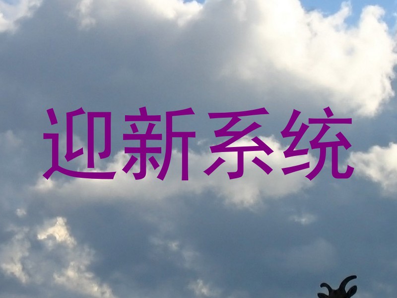 迎新系统