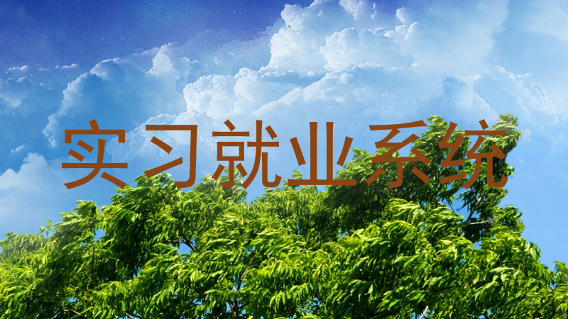 实习就业系统