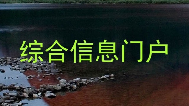 综合信息门户