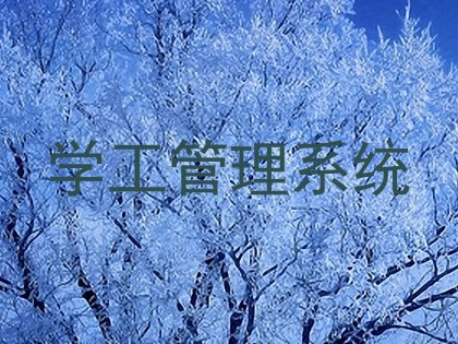 学工管理系统