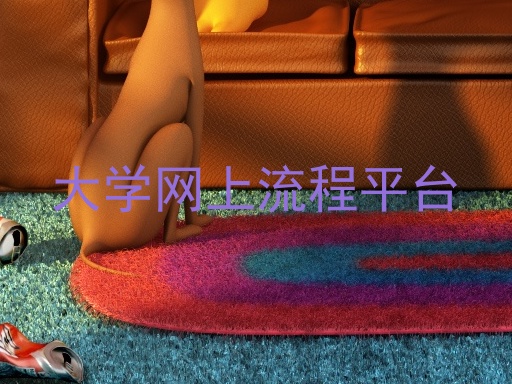 大学网上流程平台