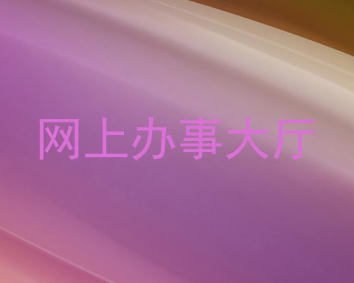 网上办事大厅