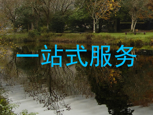 一站式服务