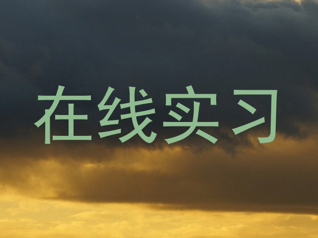 在线实习