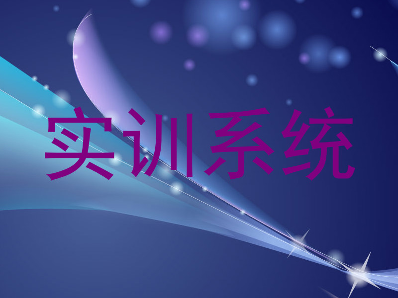 实训系统