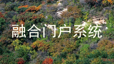 融合门户系统