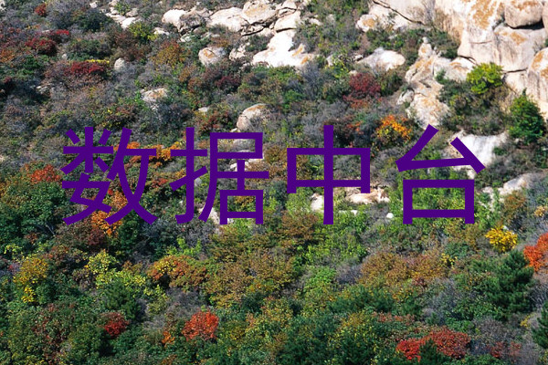 数据中台