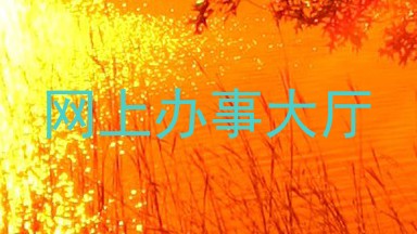 网上办事大厅