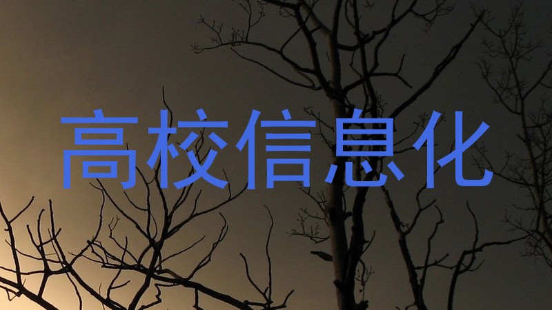 高校信息化
