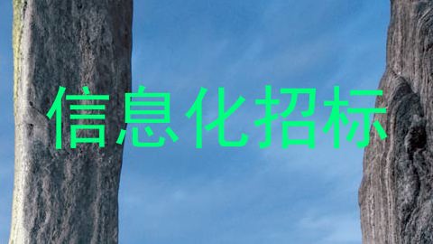 信息化招标