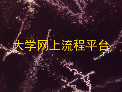 大学网上流程平台