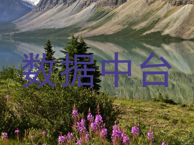 数据中台