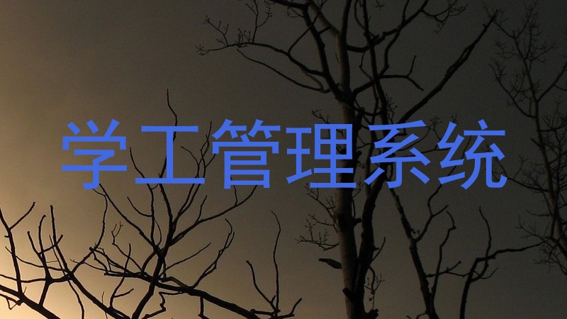 学工管理系统