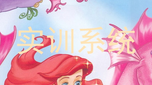 实训系统
