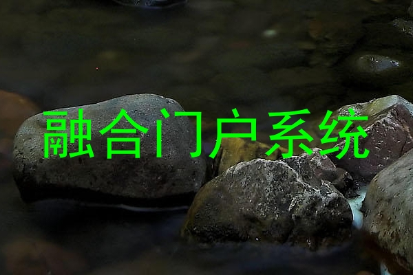 融合门户系统