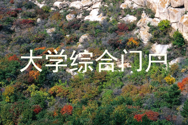 大学综合门户