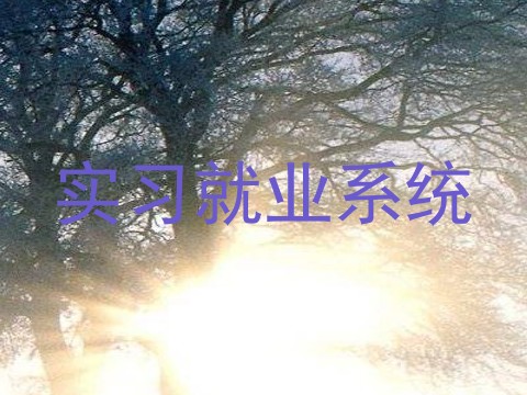 实习就业系统