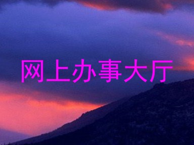 网上办事大厅