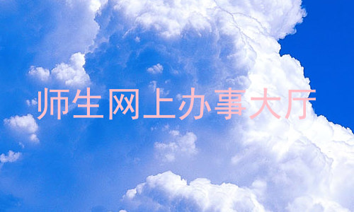 师生网上办事大厅