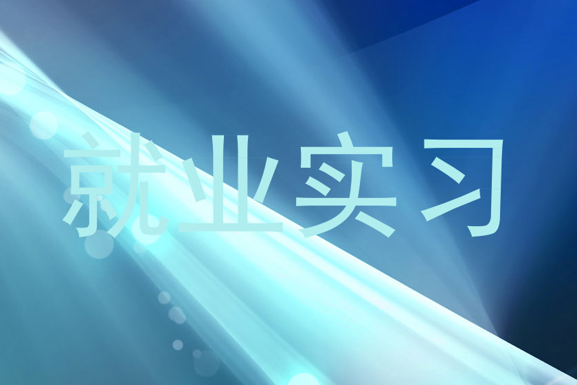 就业实习
