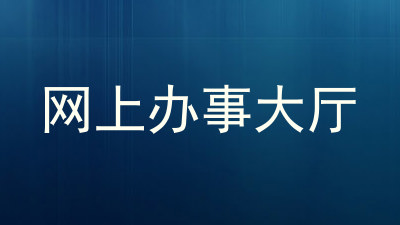 网上办事大厅