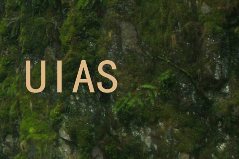 UIAS