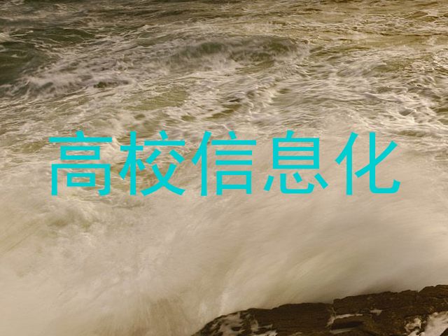 高校信息化